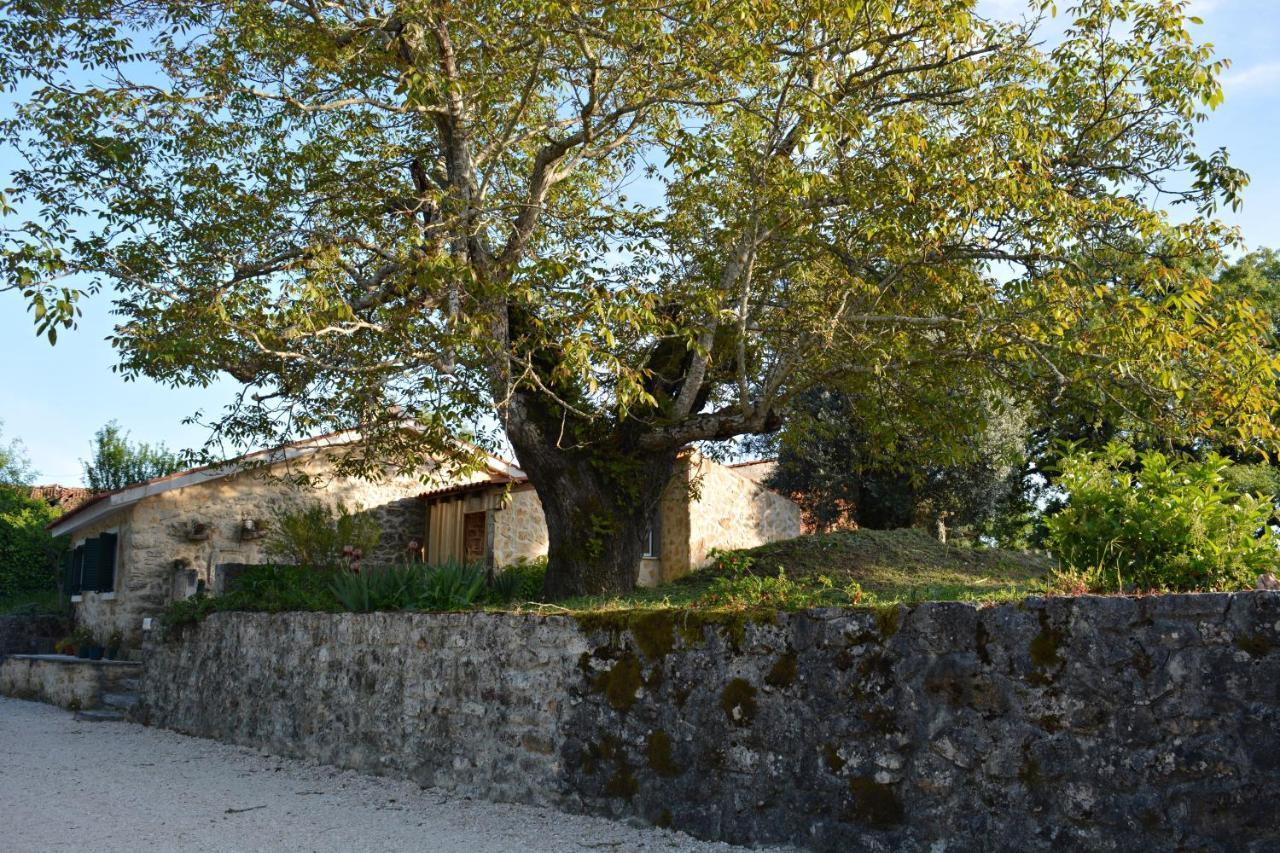 Casa Da Pedra Villa Ancião Eksteriør billede