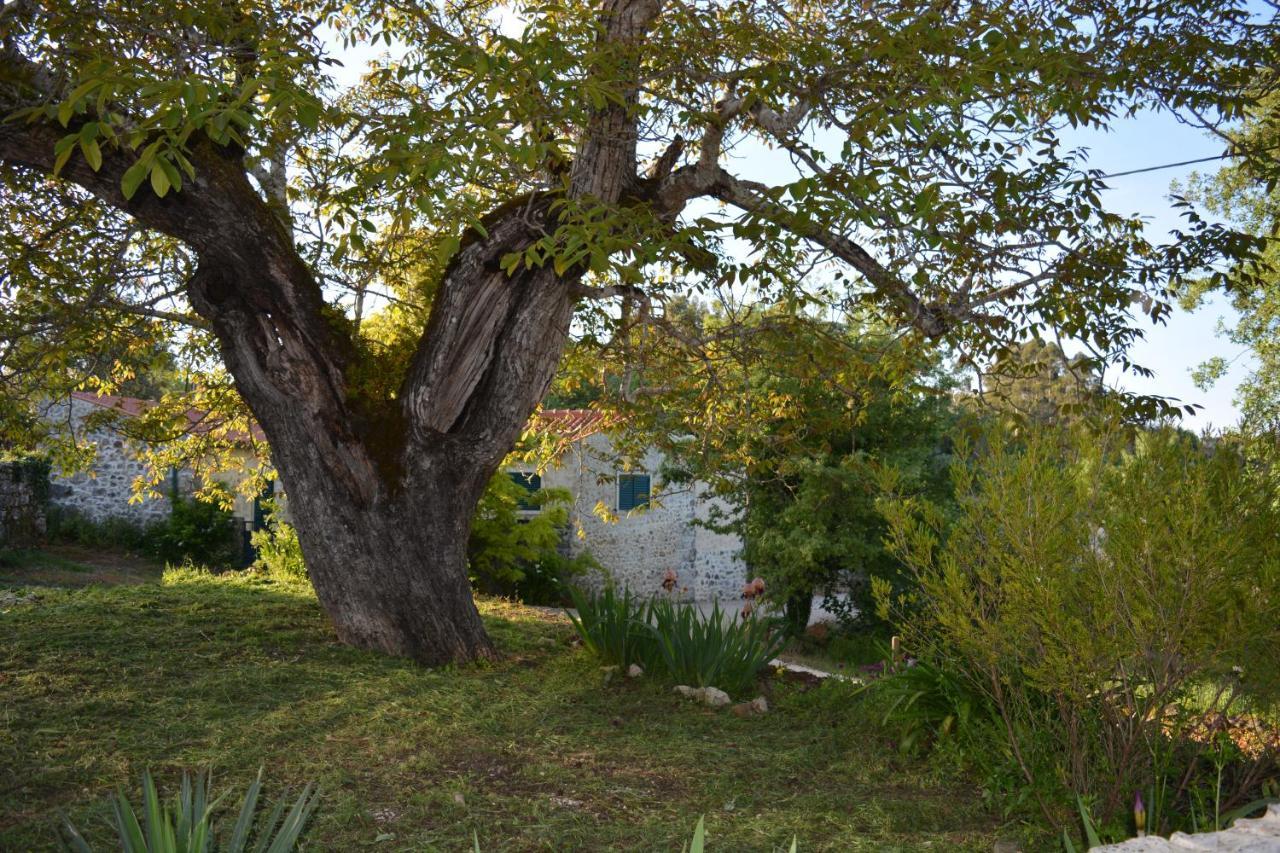 Casa Da Pedra Villa Ancião Eksteriør billede